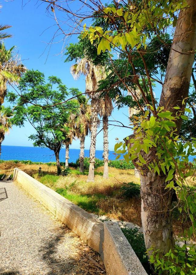 Villa Aphrodite By The Sea Paphos Exterior photo